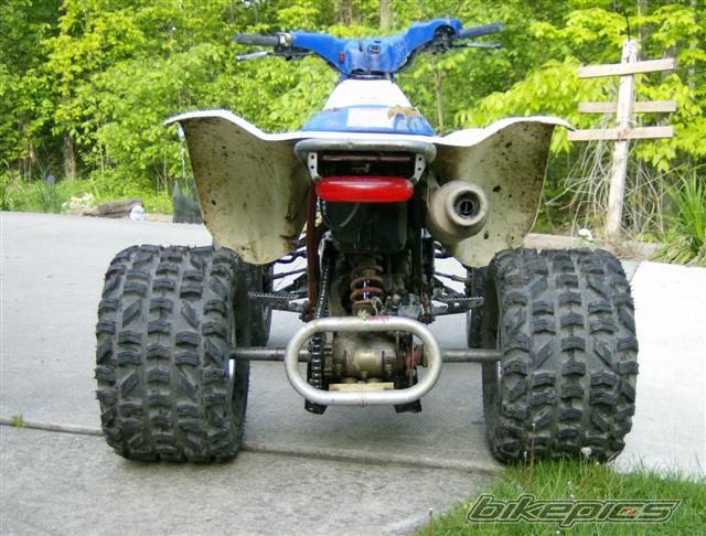 Photo 1296440