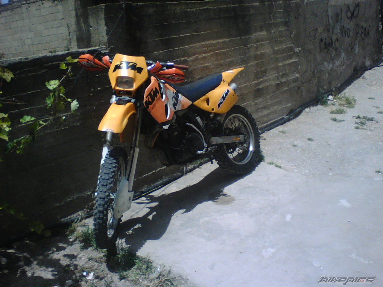 Photo 1296442