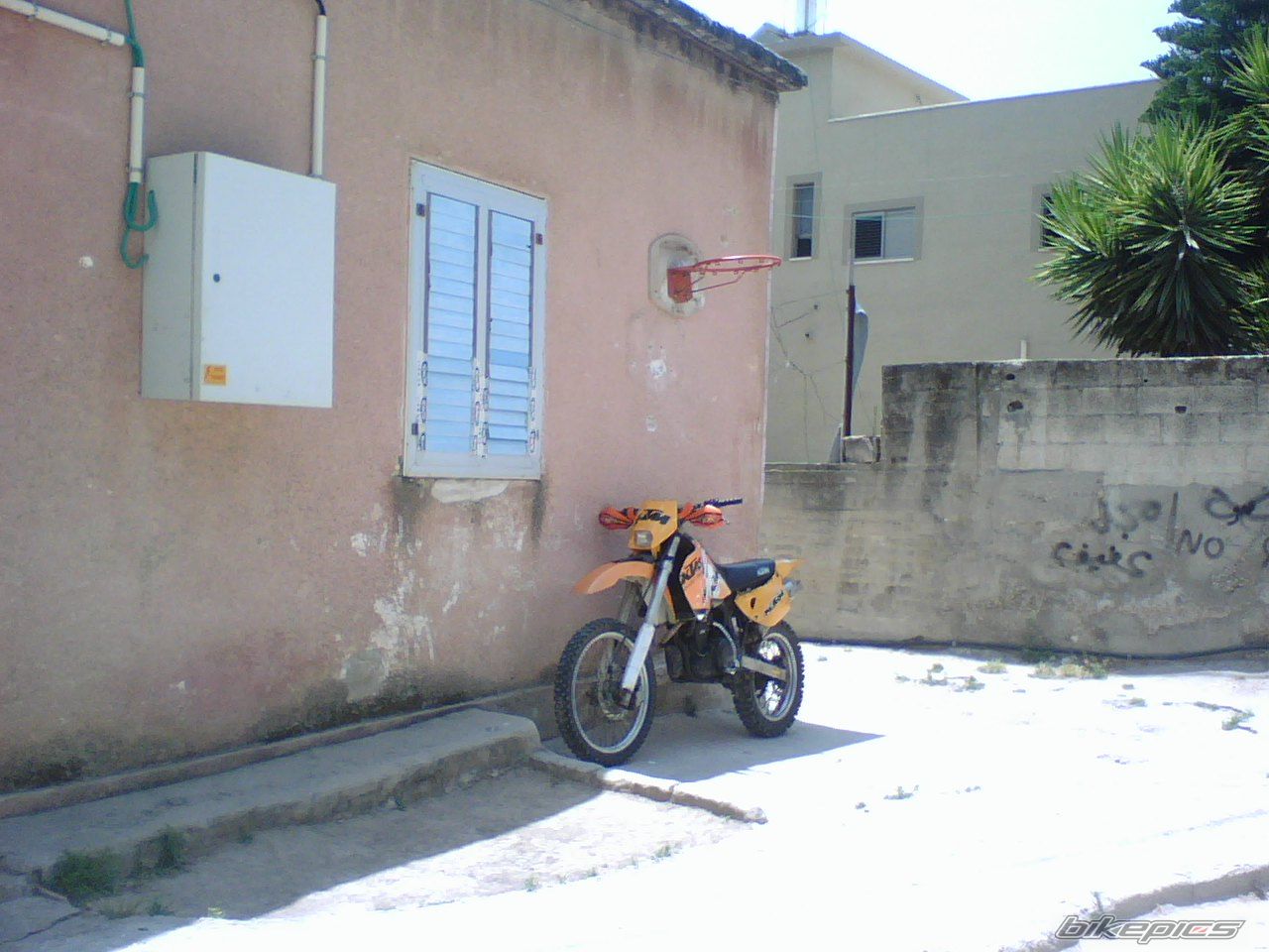 Photo 1296447