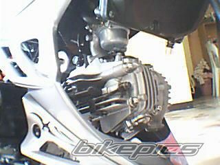 Photo 1296476