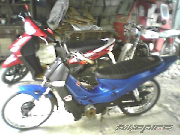 Photo 1296530