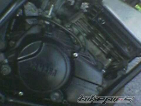 Bike Photo 1296557