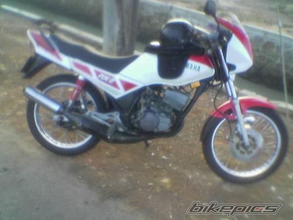 Bike Photo 1296559