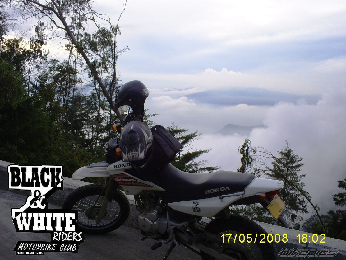 Photo 1296572