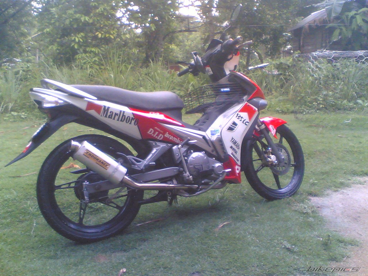 Bike Photo 1296615
