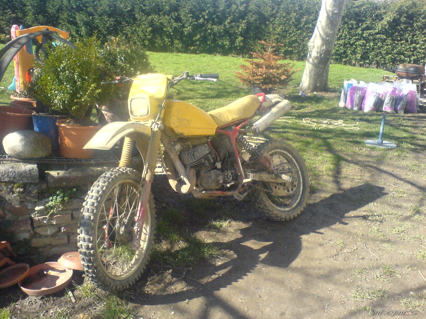 Photo 1296636