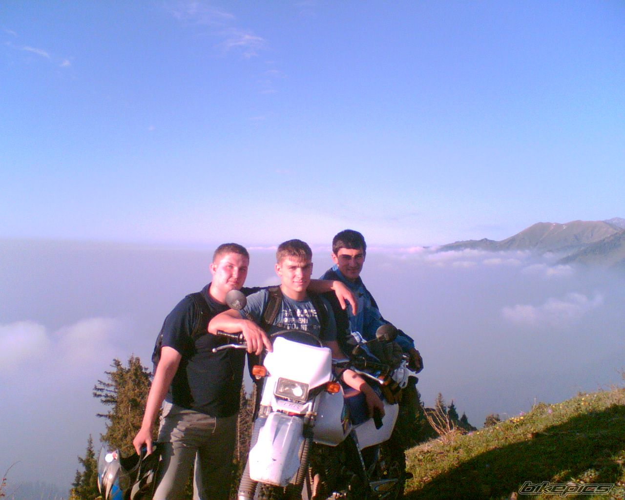Photo 1296639