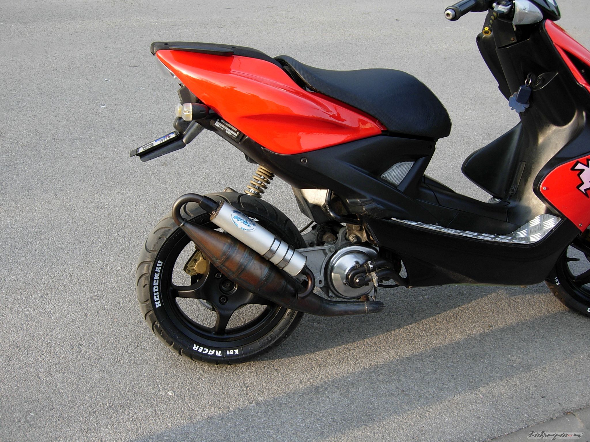 Photo 1296685