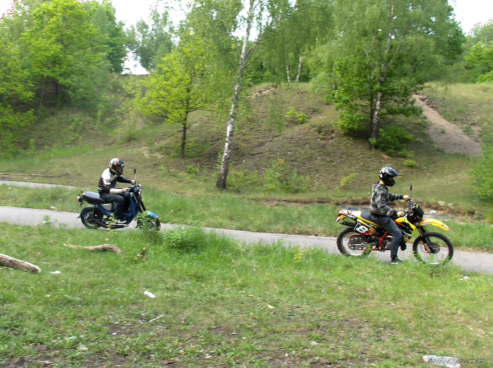 Photo 1296695