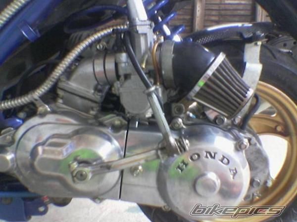 Bike Photo 1296785