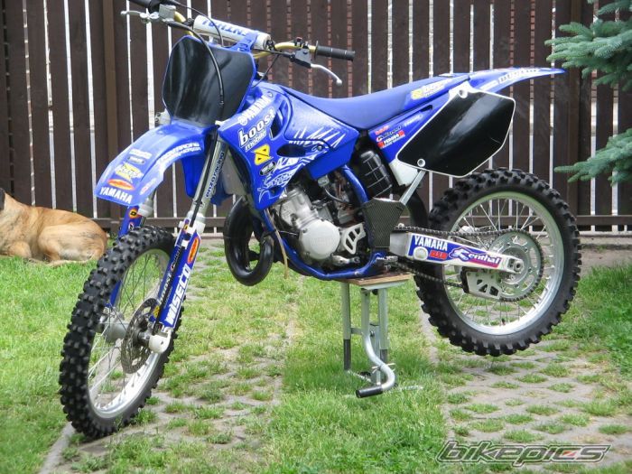 Photo 1296790