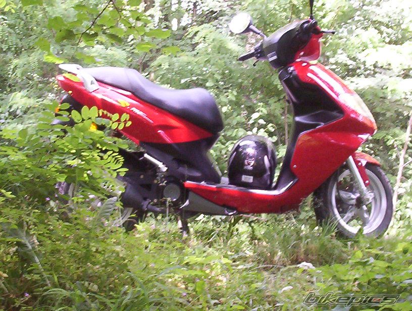 Photo 1296852