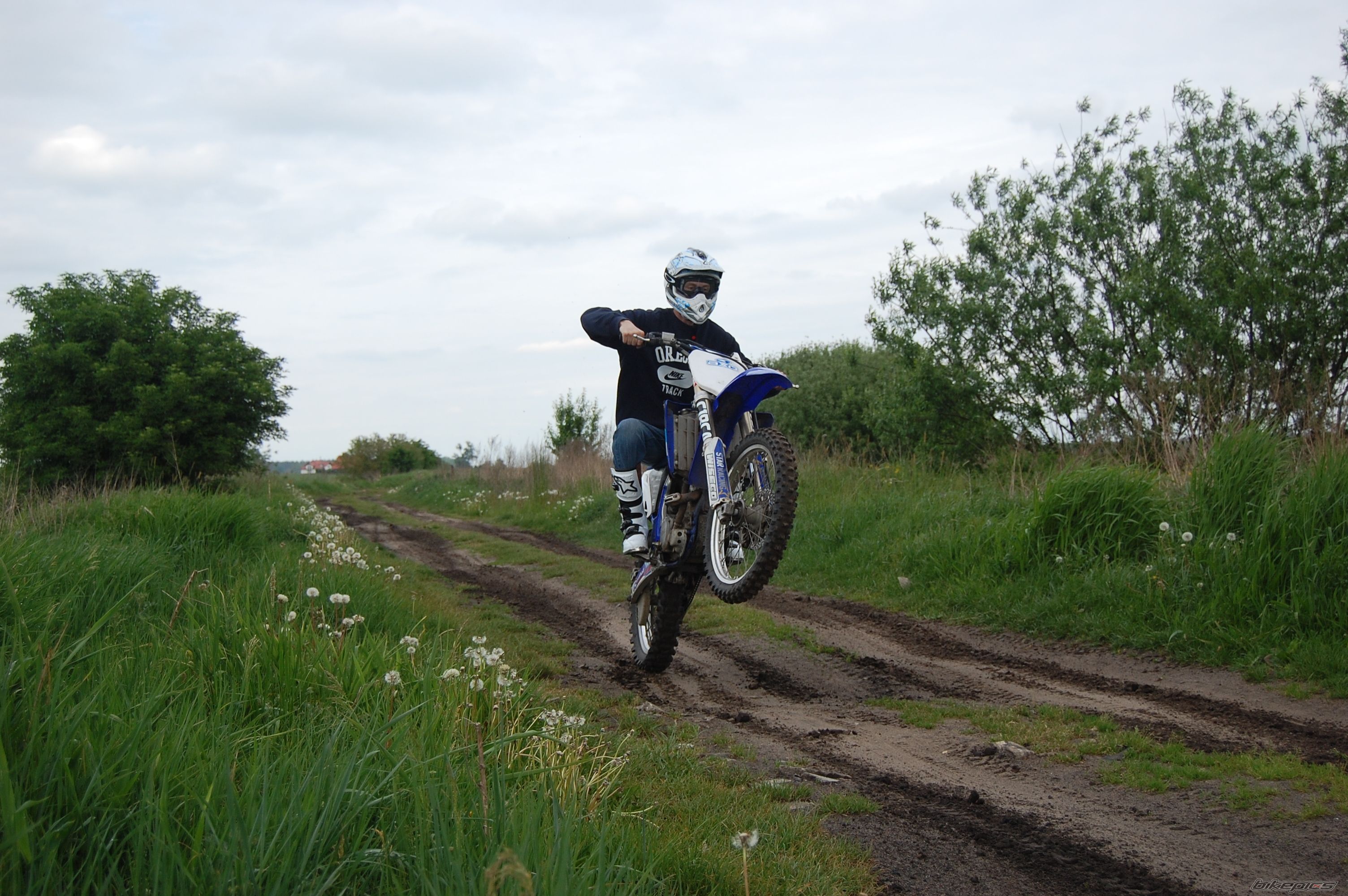 Photo 1296896