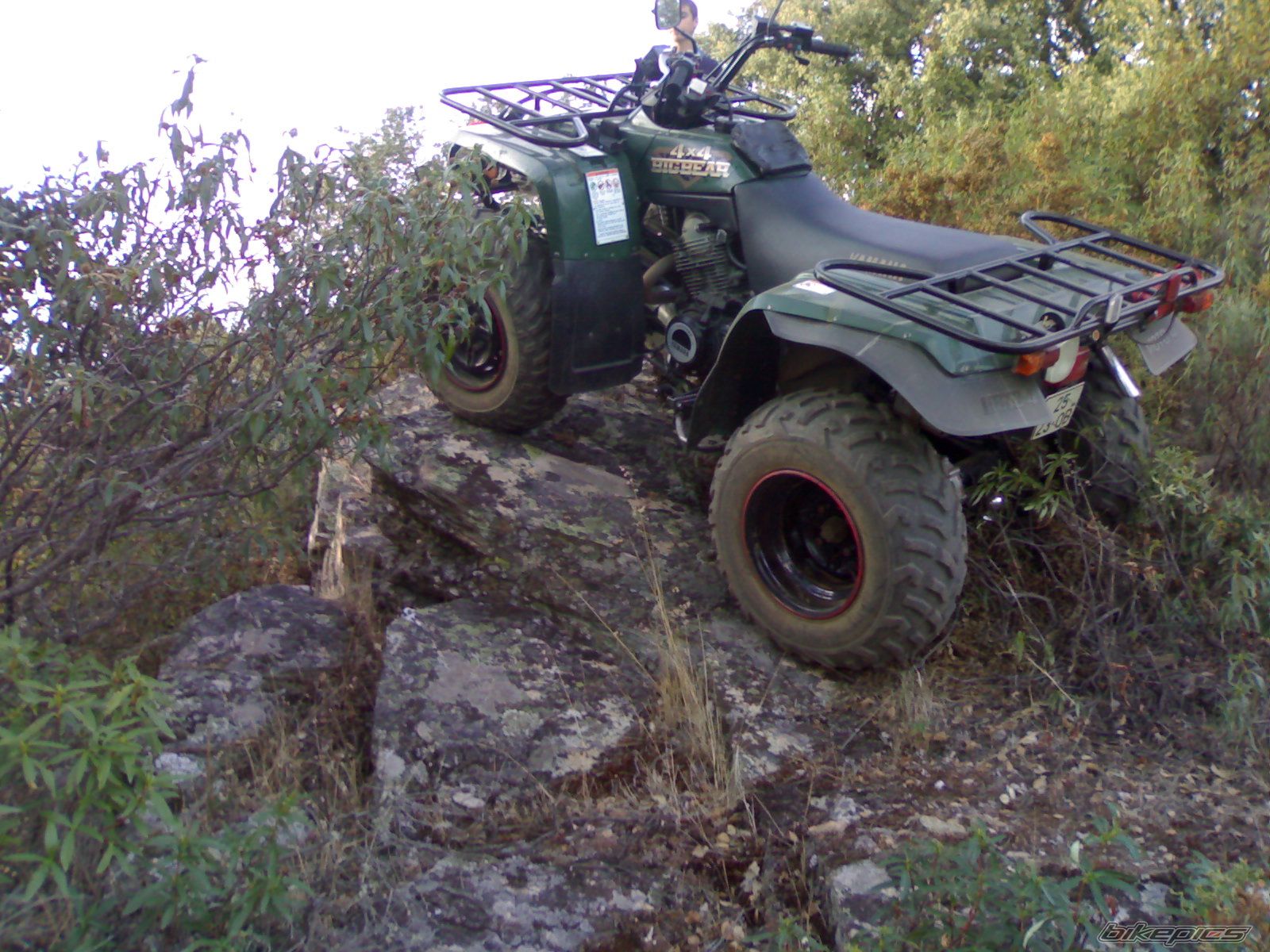 Photo 1296908