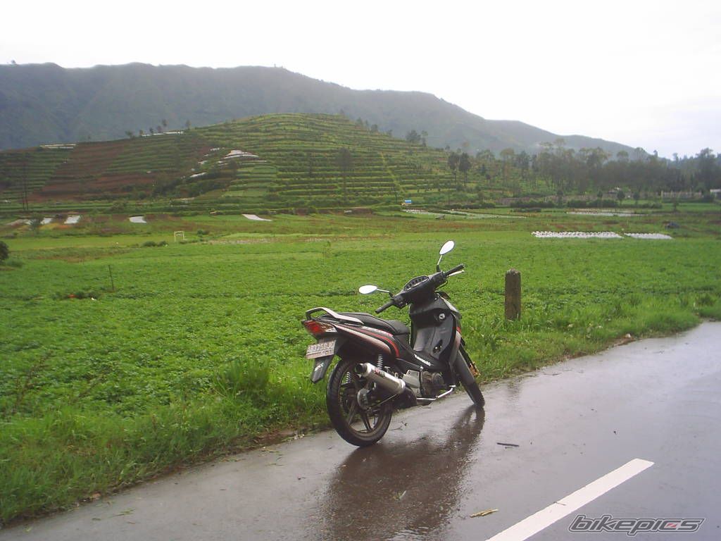 Photo 1296910