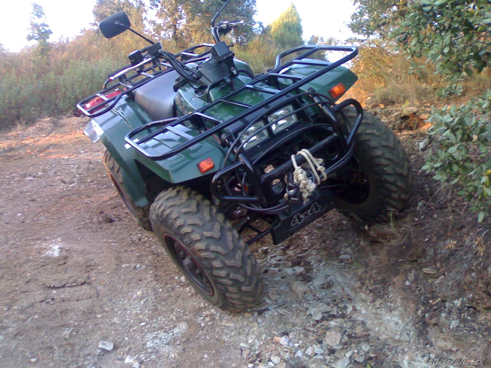 Photo 1296915