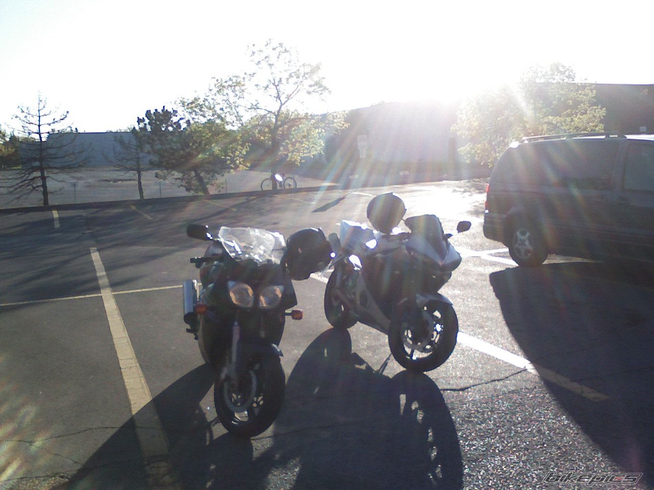 Photo 1296980