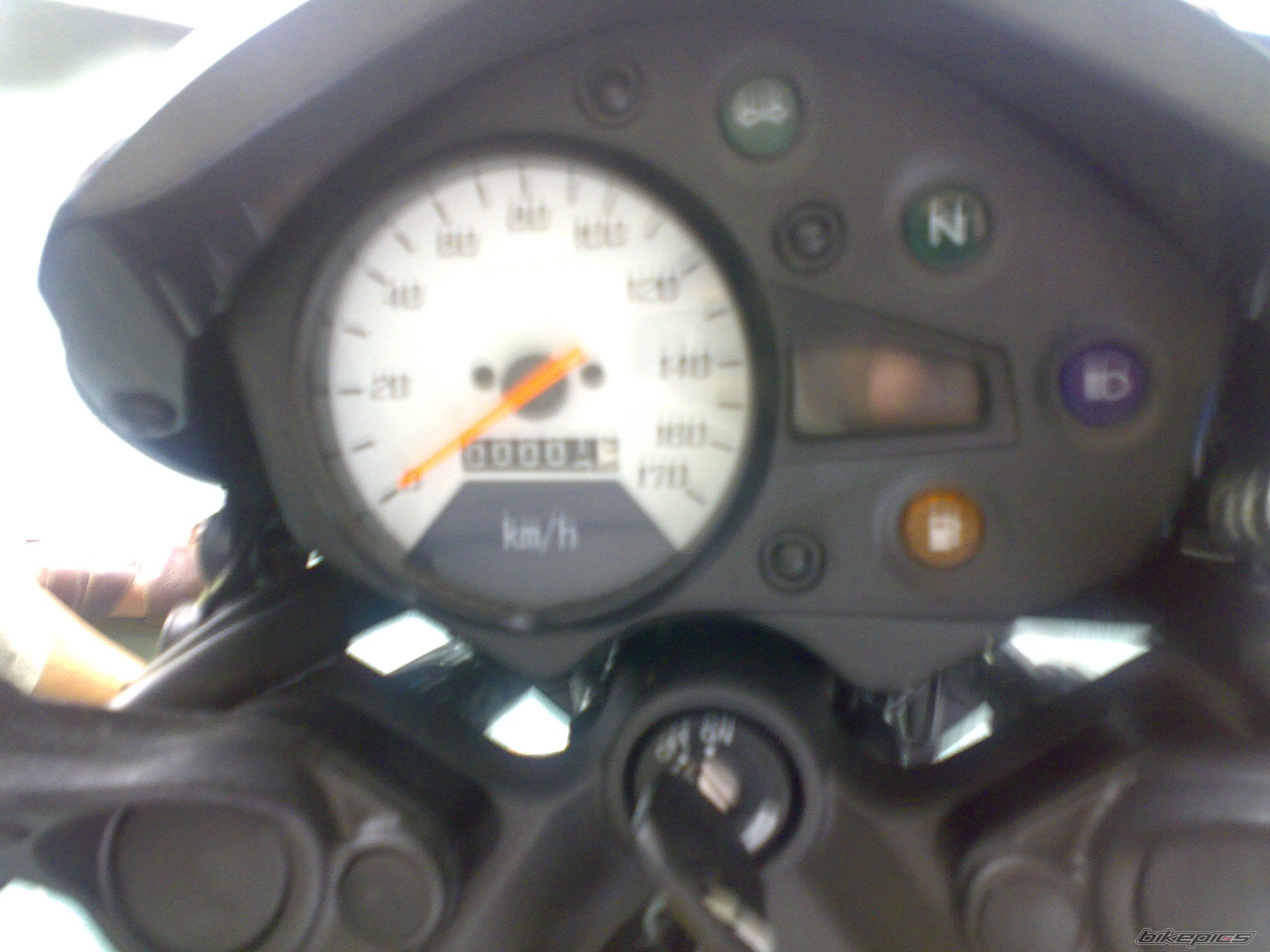 Photo 1297024