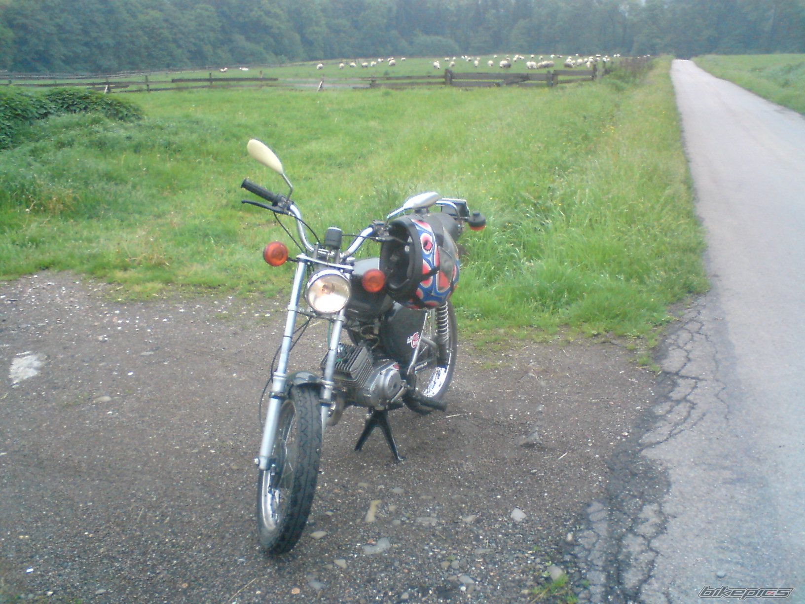 Photo 1297028