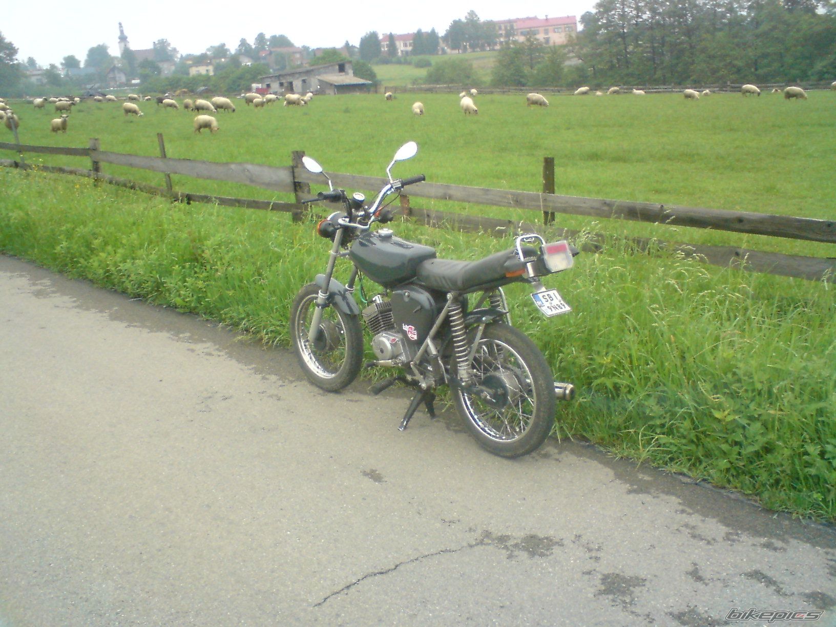 Photo 1297029