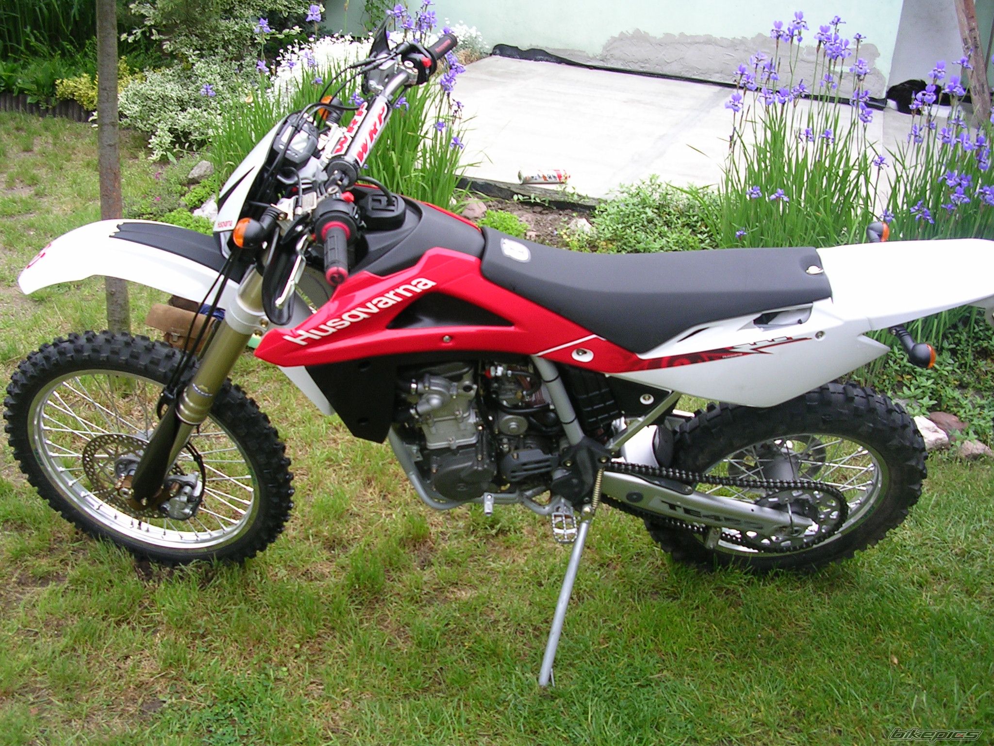 Photo 1297058