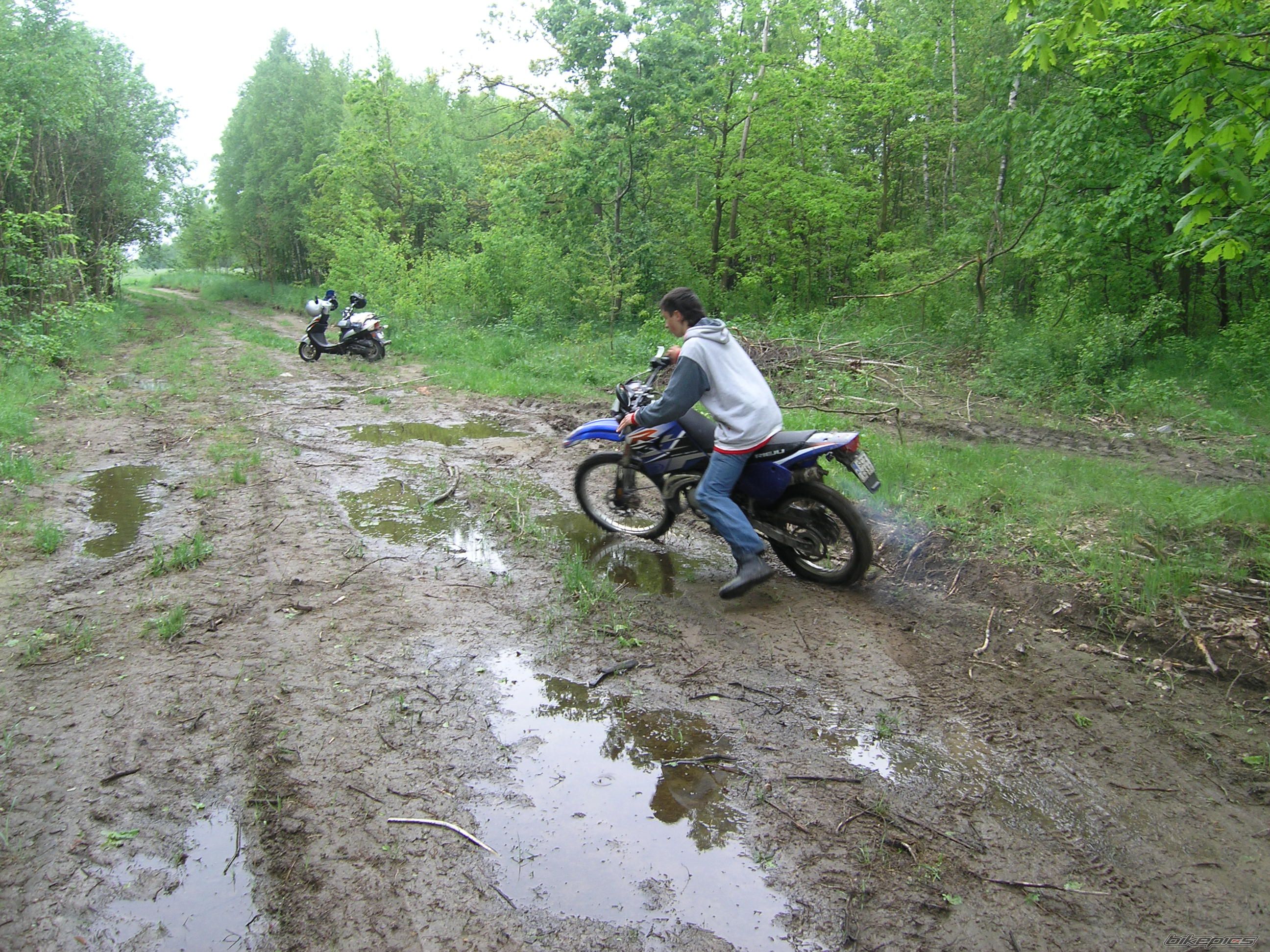 Photo 1297123