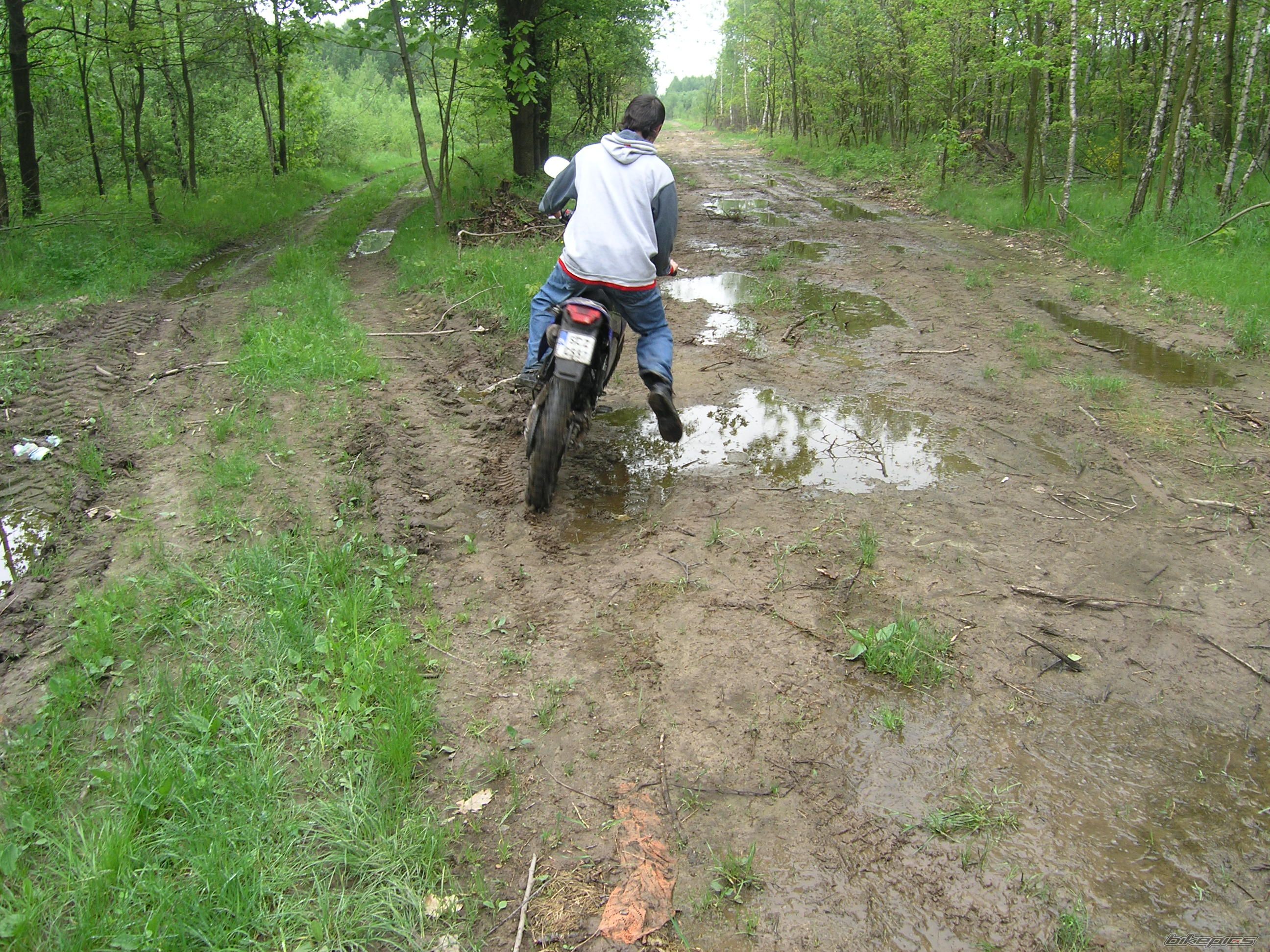 Photo 1297126