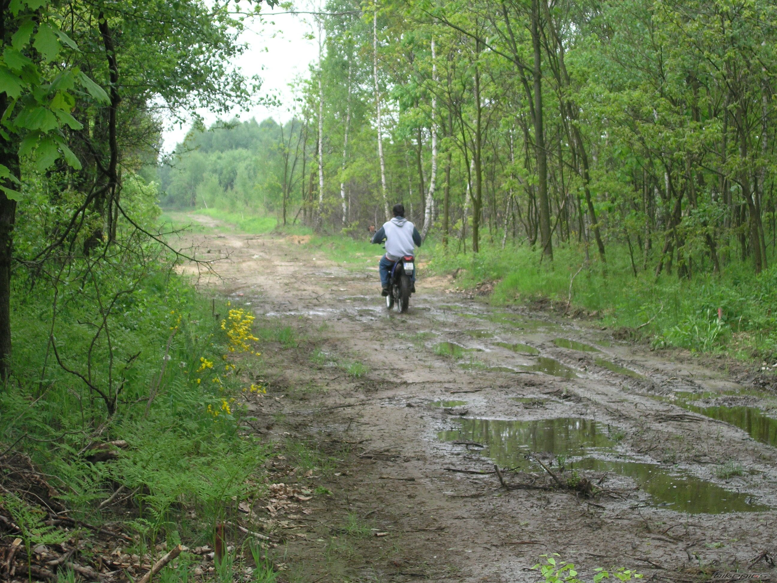 Photo 1297128
