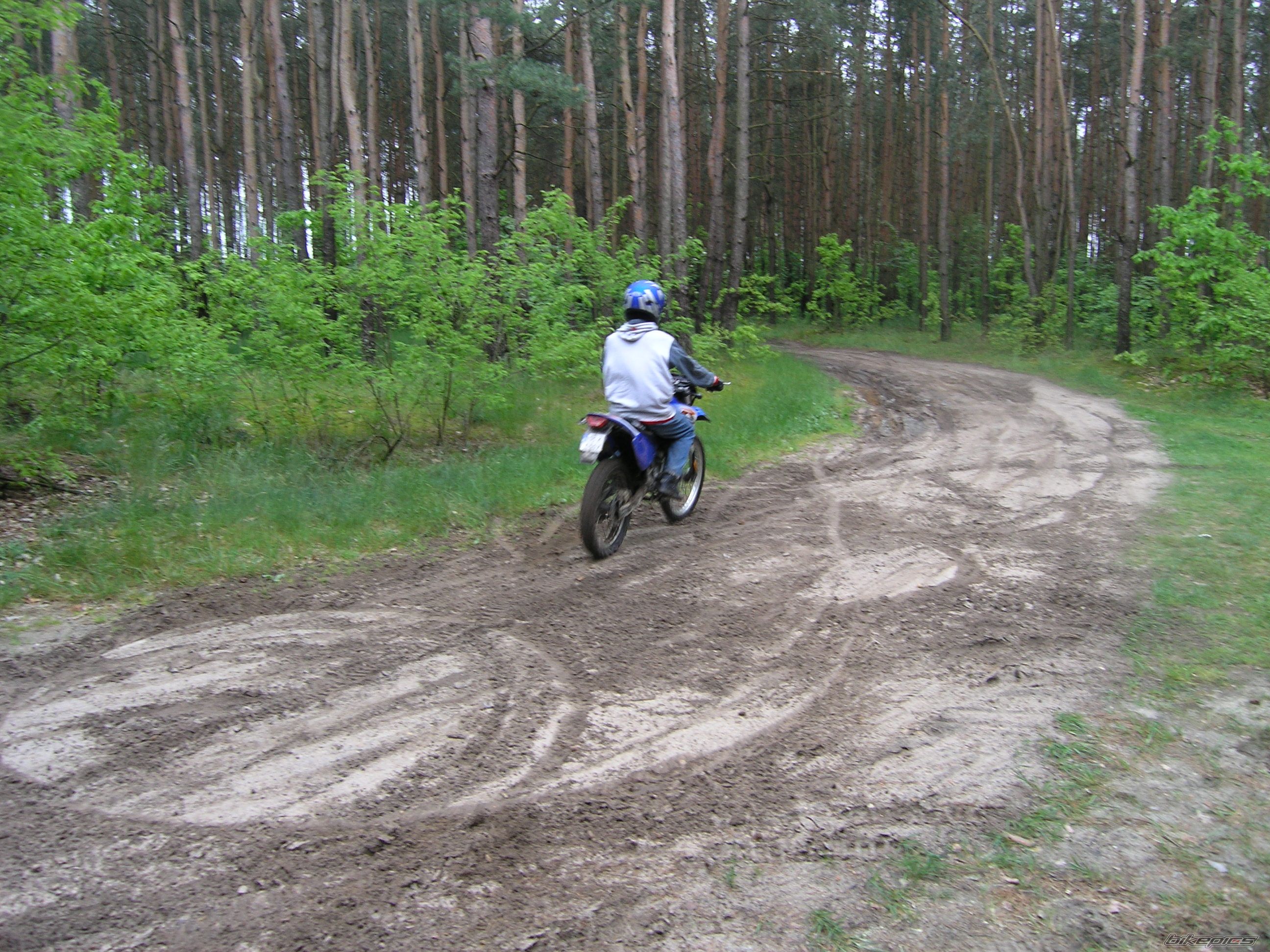 Photo 1297132