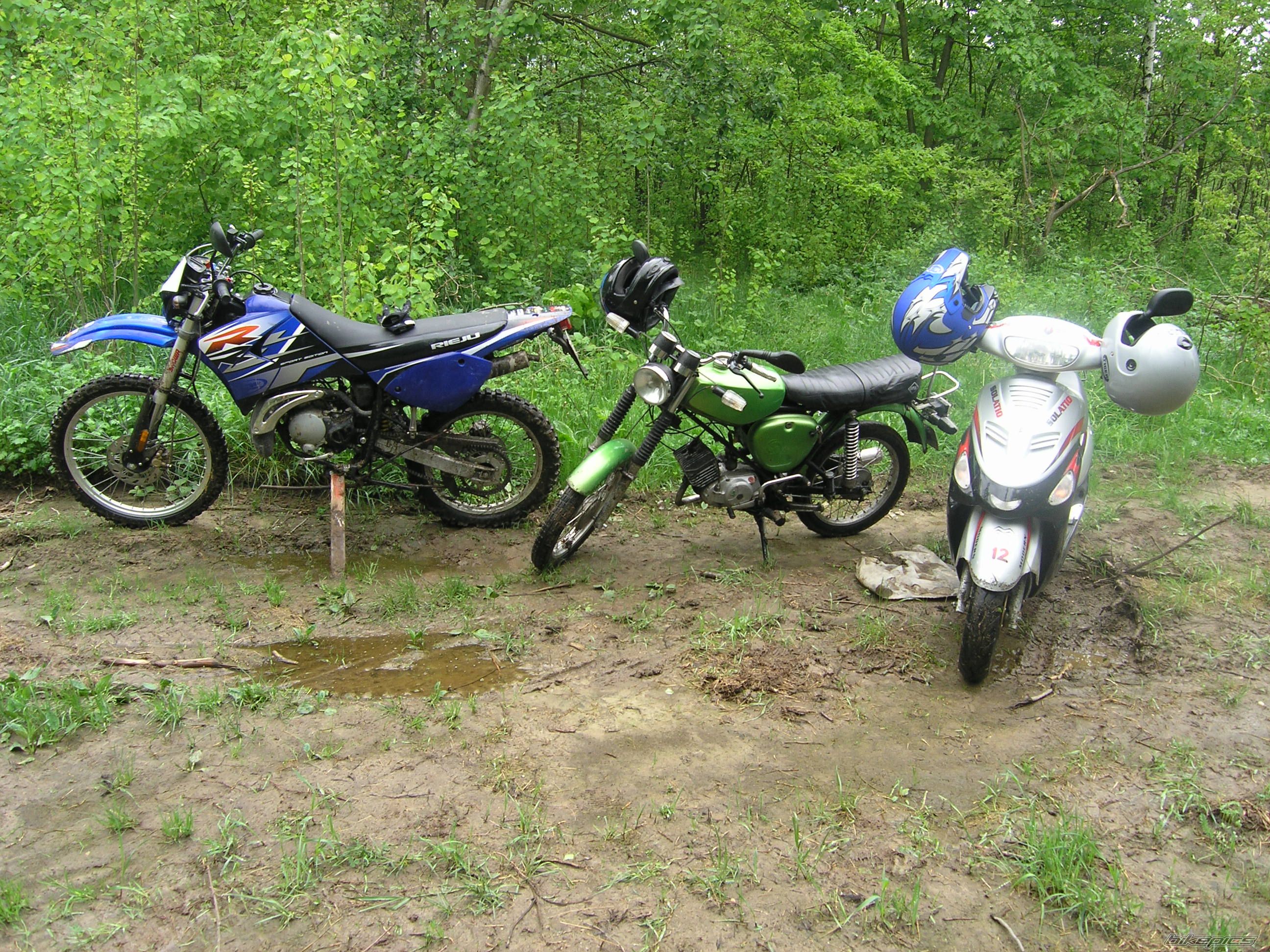 Photo 1297146