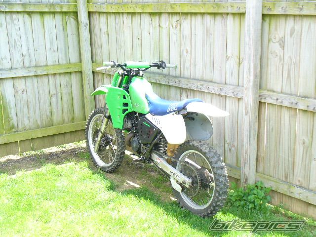 Photo 1297156