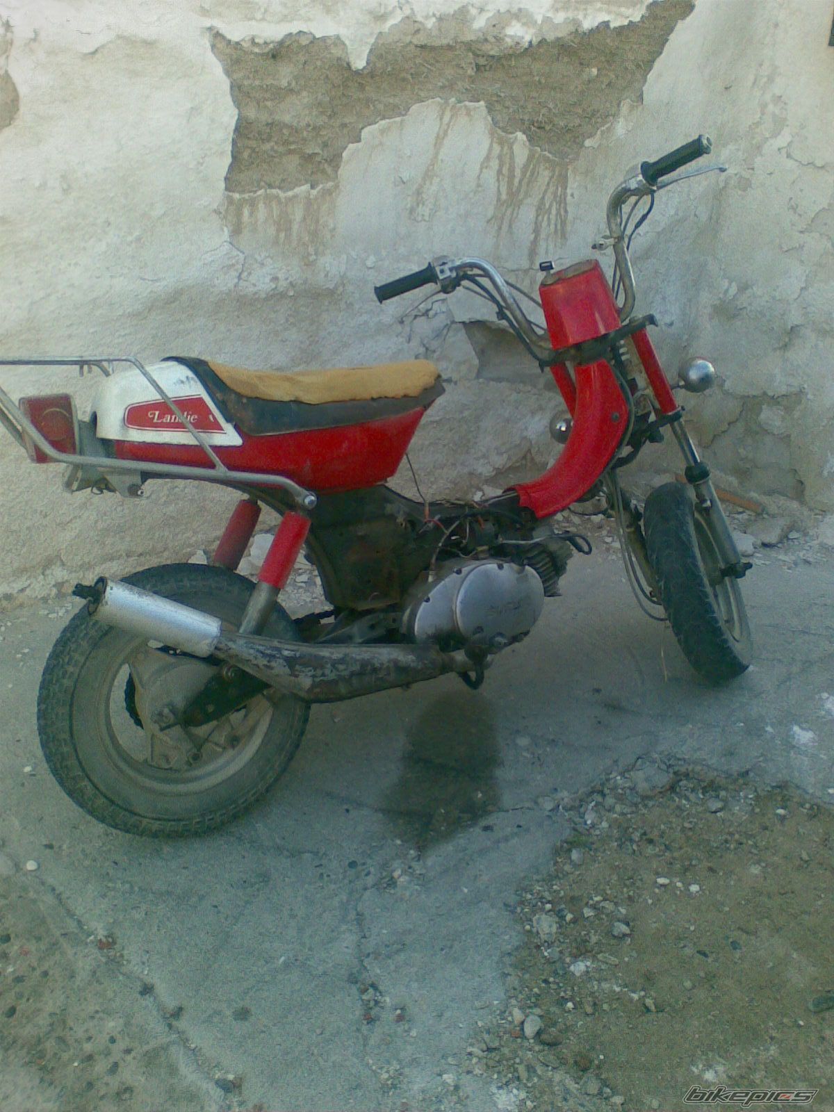 Photo 1297163
