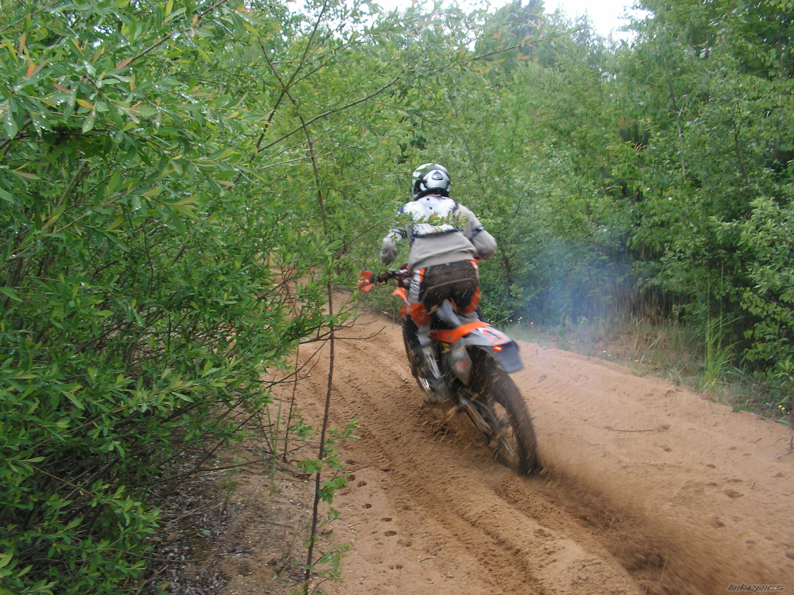 Photo 1297174