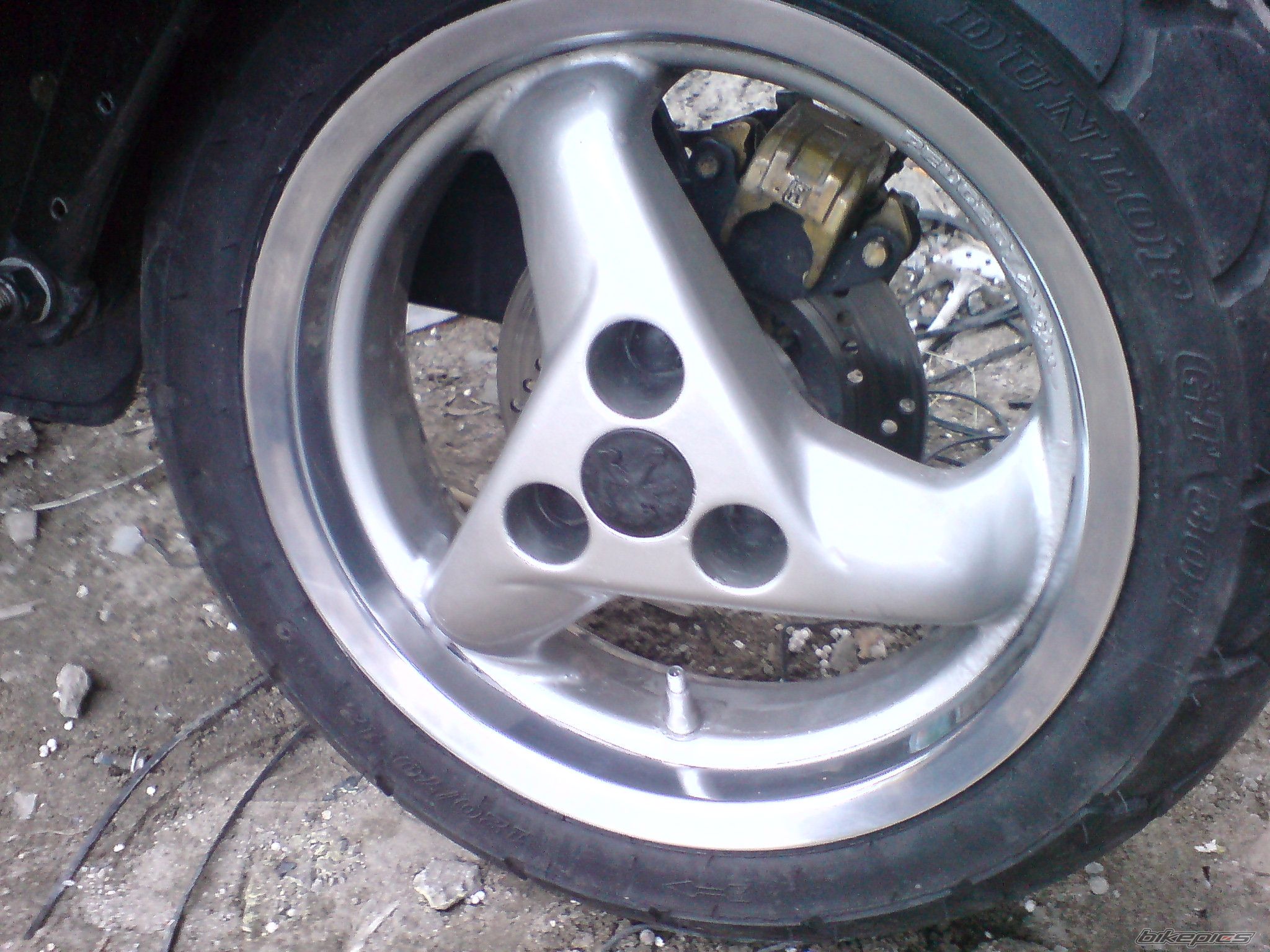 Photo 1297205
