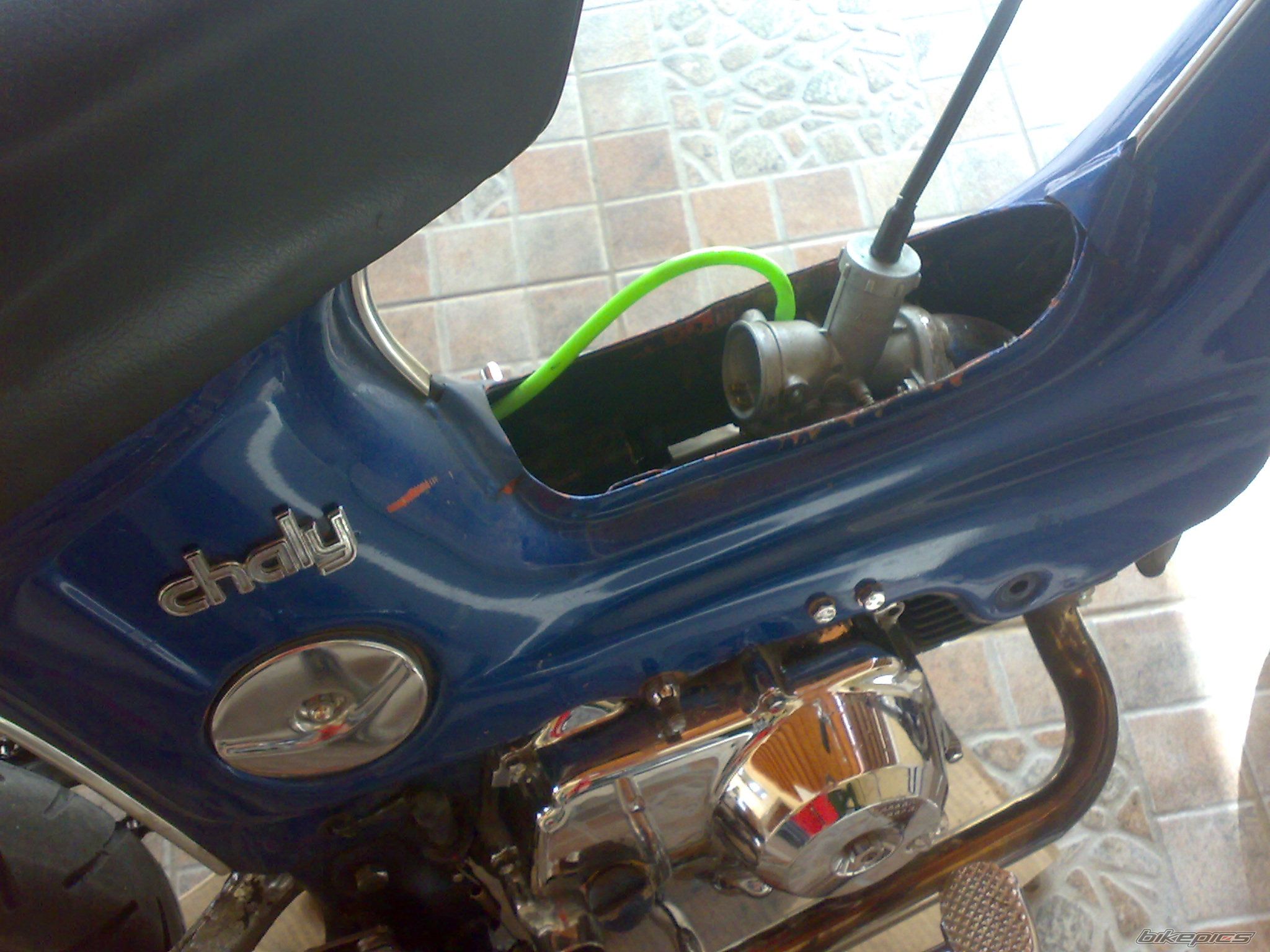 Photo 1297208