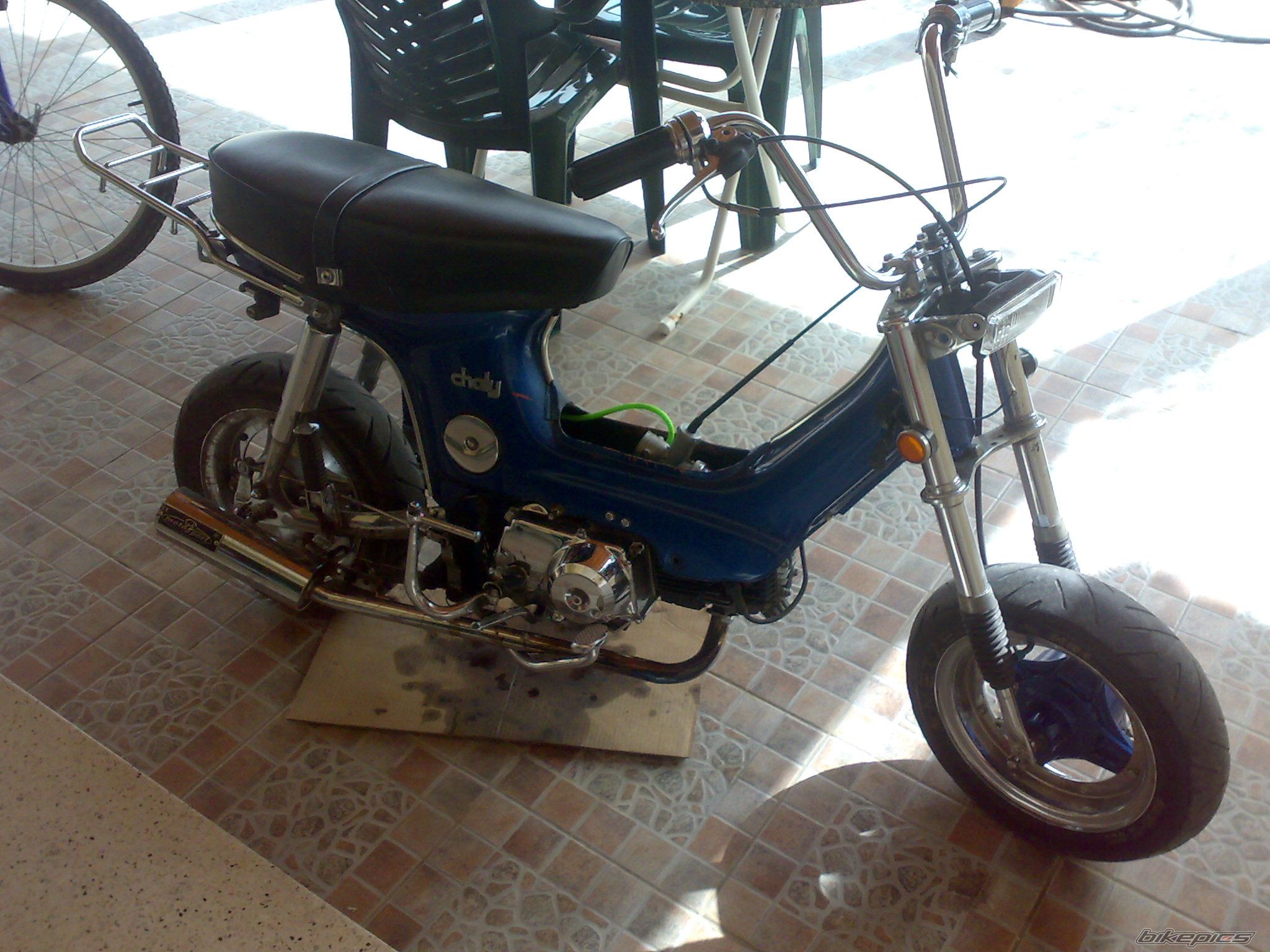 Photo 1297210