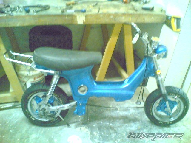 Photo 1297214