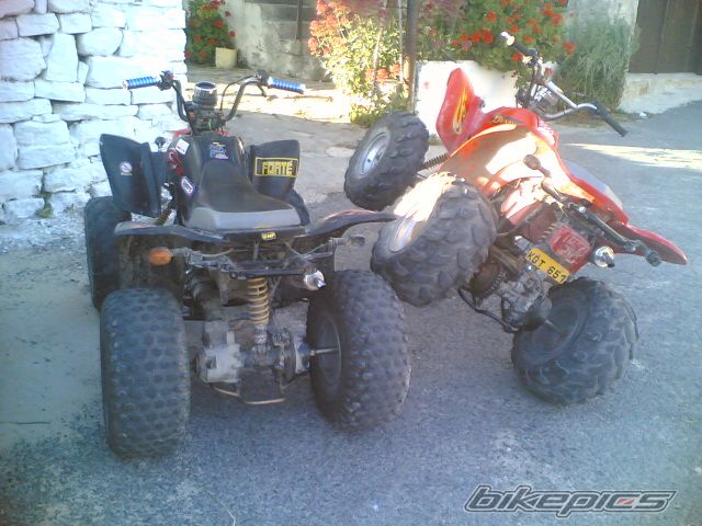 Photo 1297215