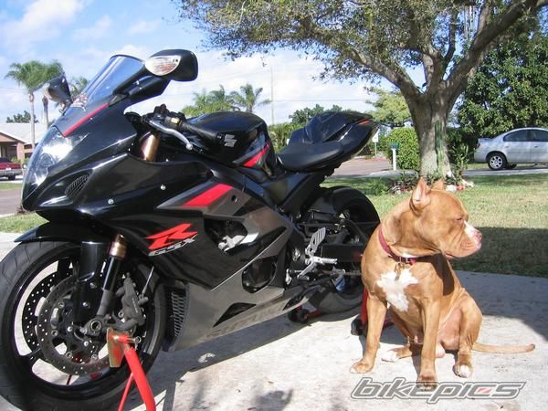 Photo 1297221