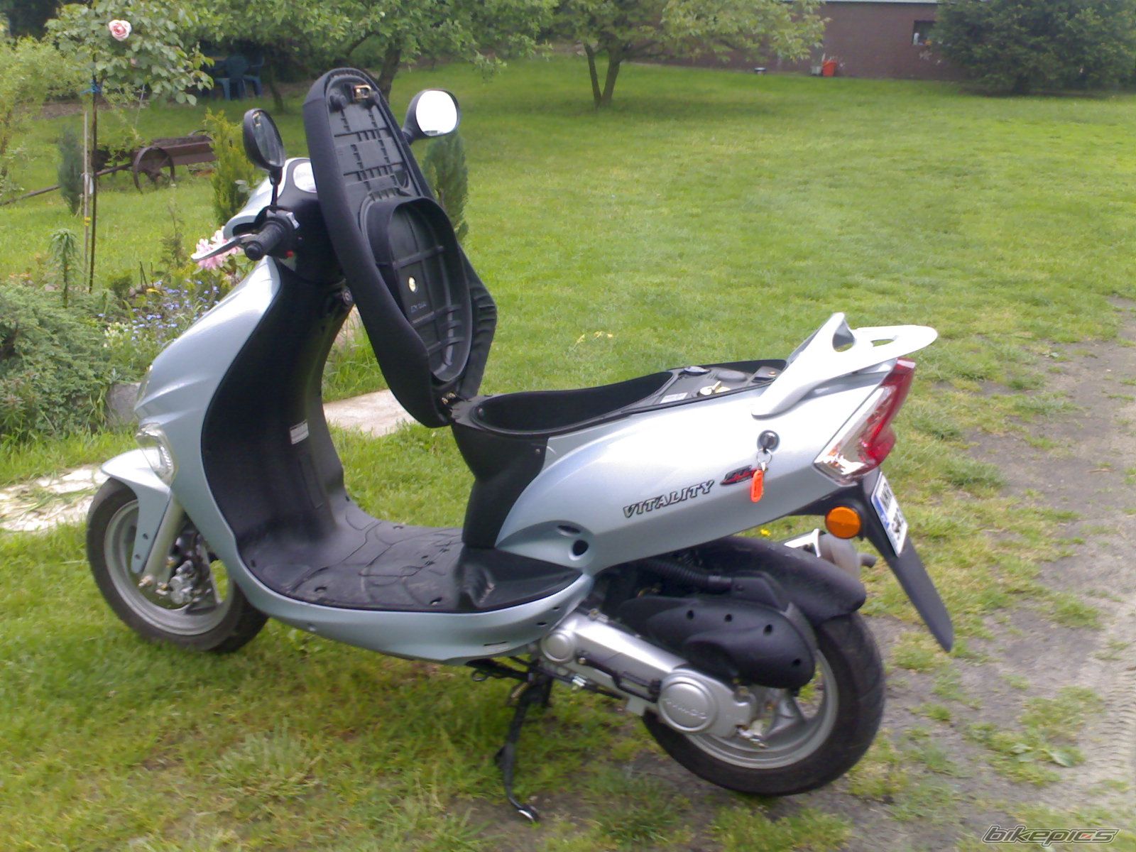 Photo 1297229