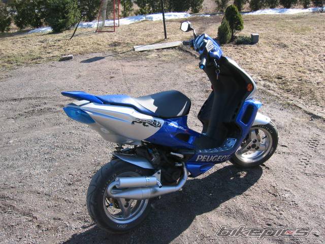 Photo 129724