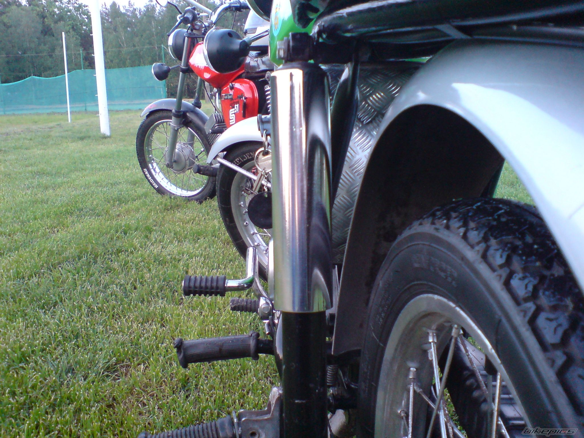 Photo 1297252