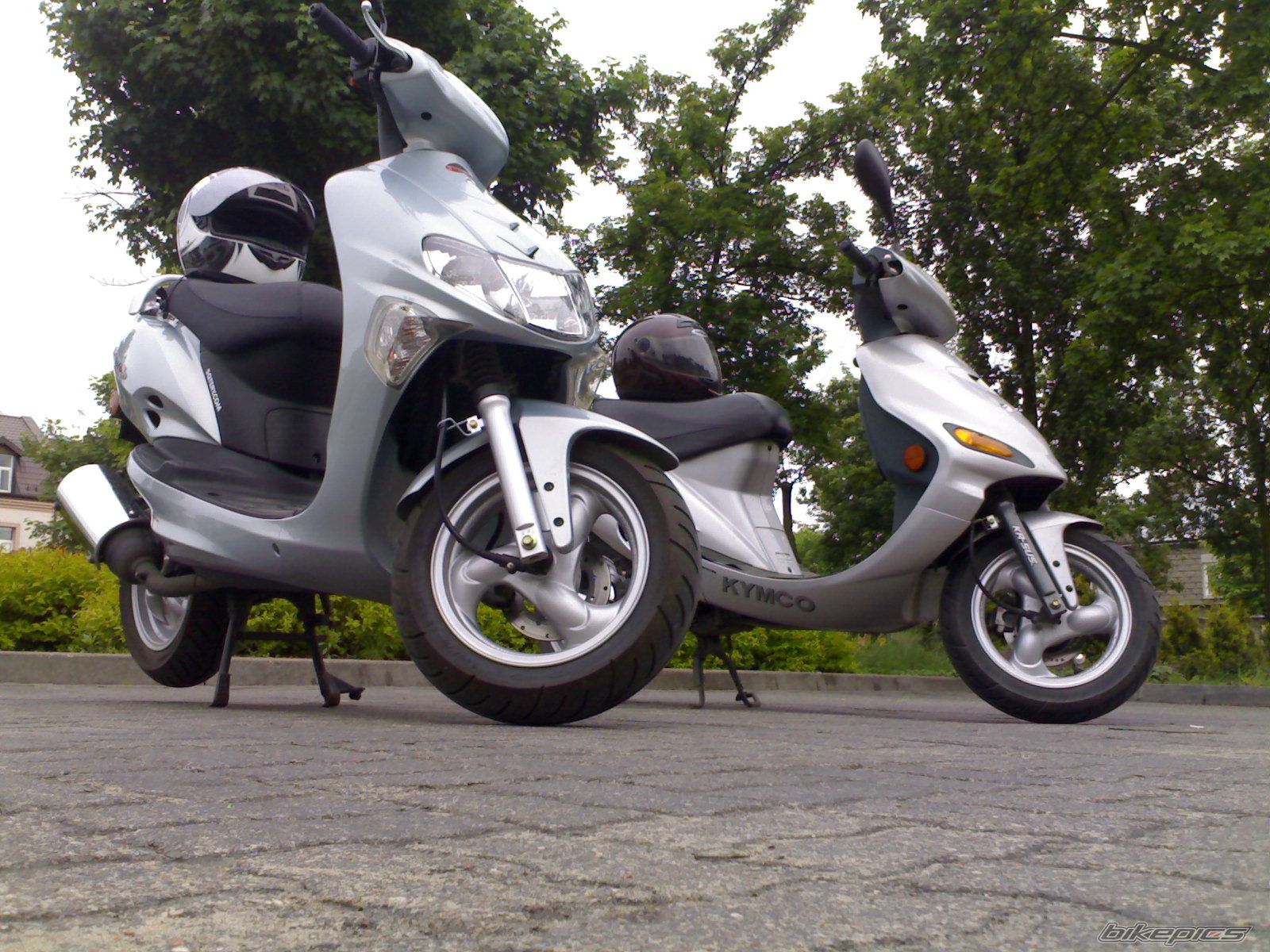 Photo 1297282