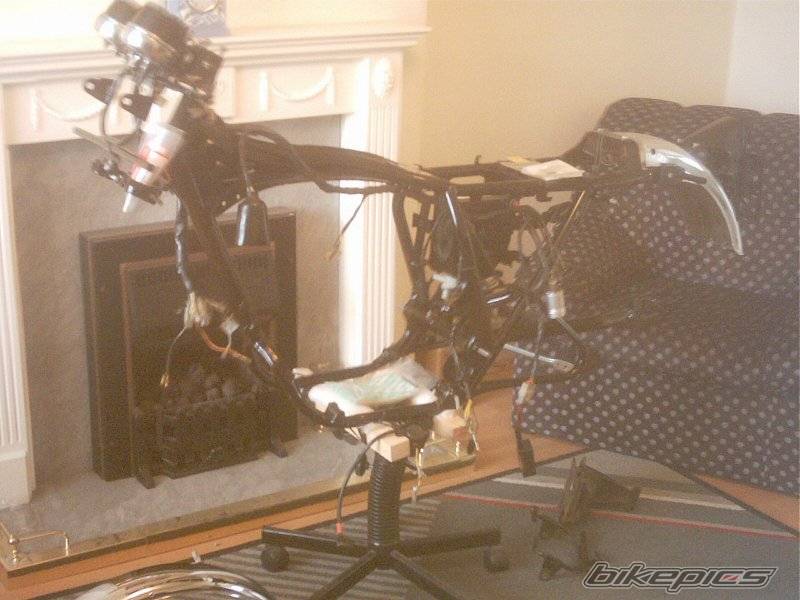 Photo 129731
