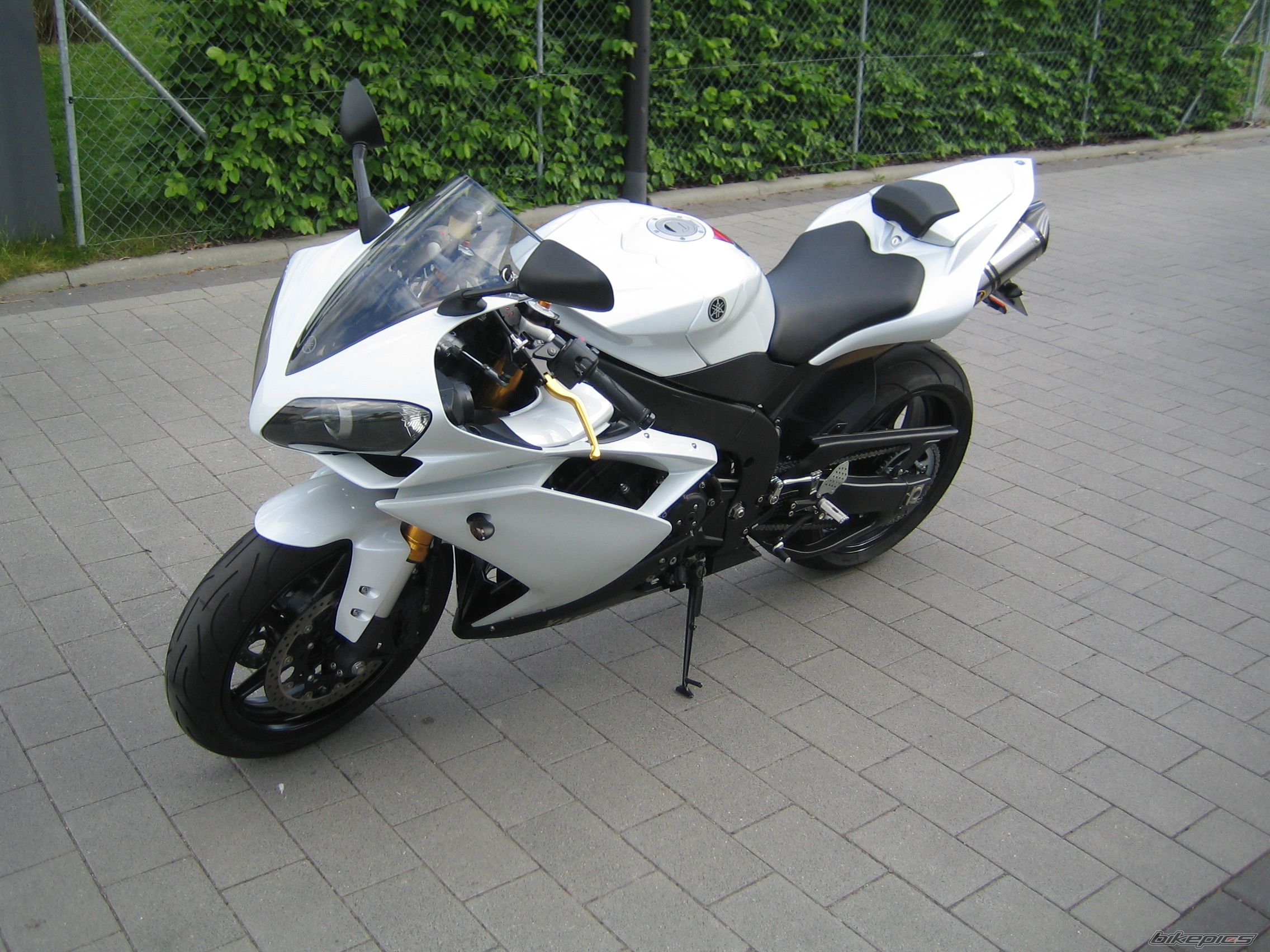 Photo 1297319