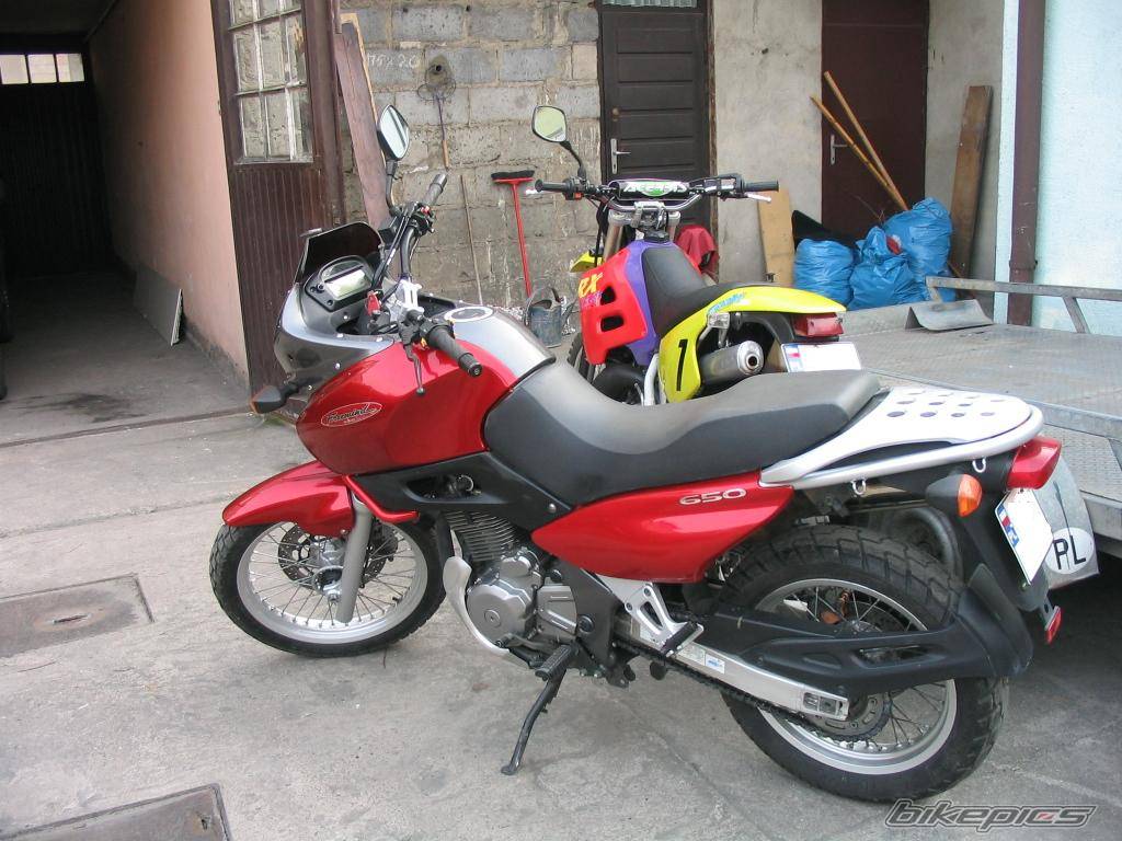 Photo 129733