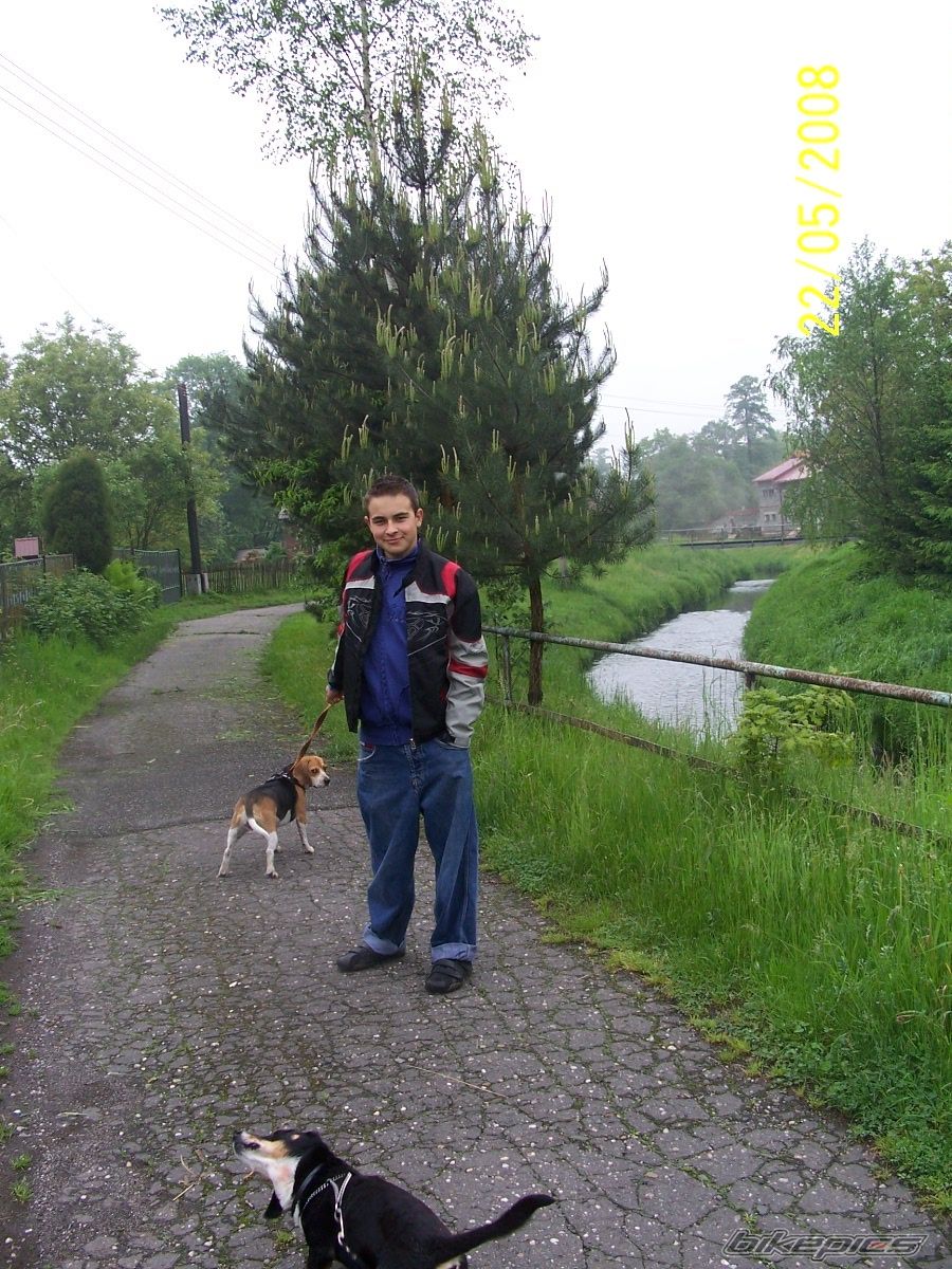 Photo 1297332