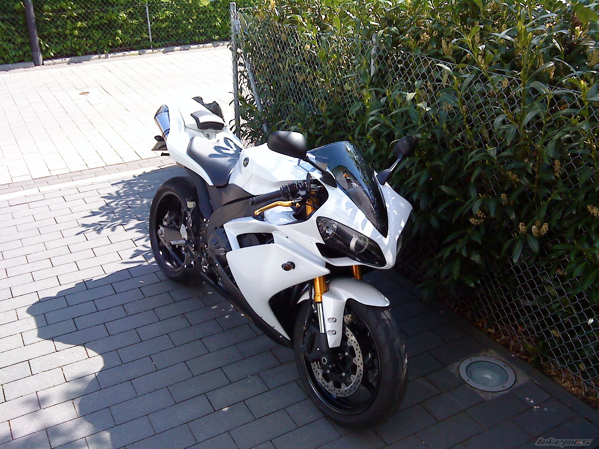 Photo 1297339