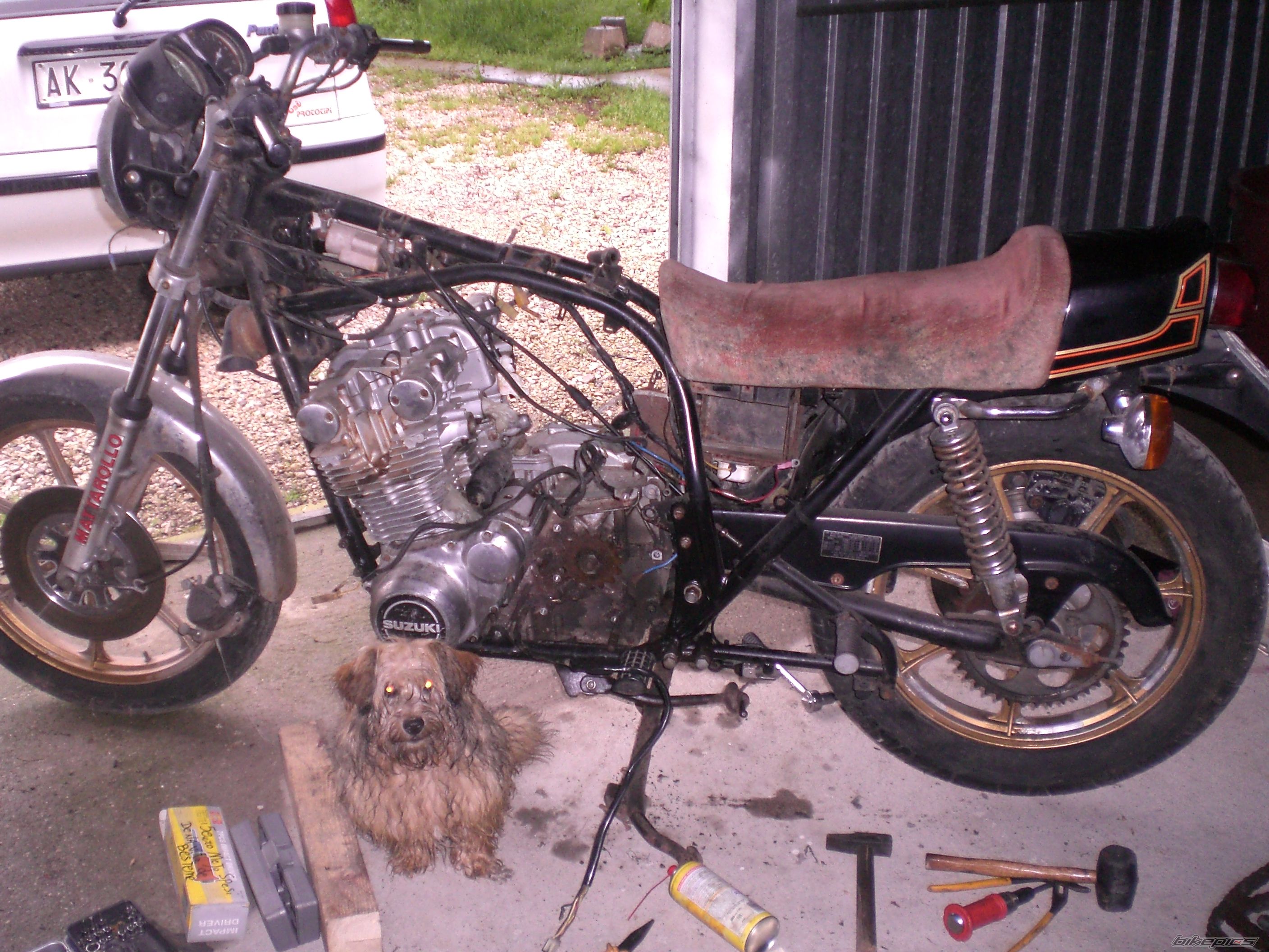 Bike Photo 1297342