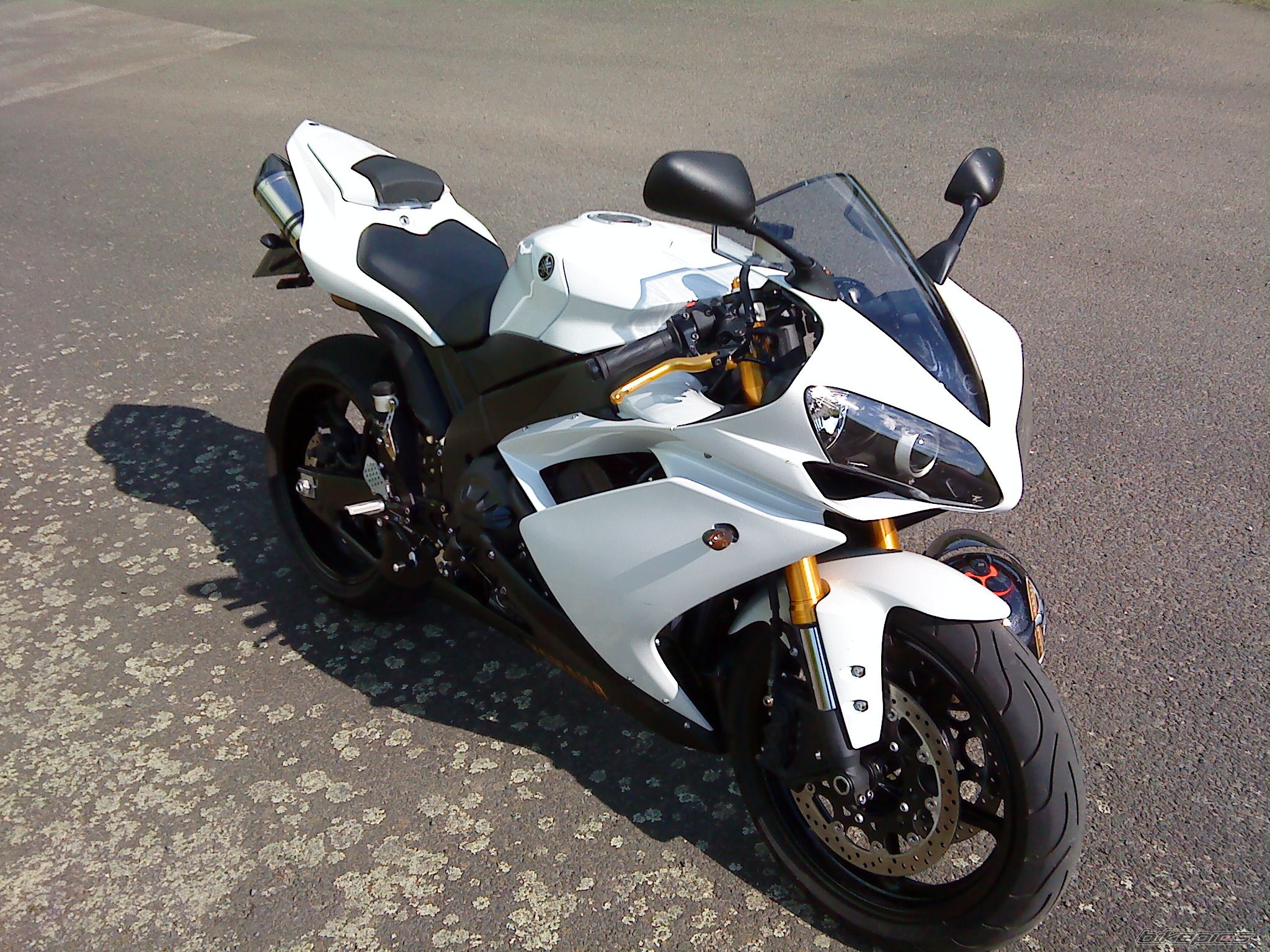 Photo 1297352